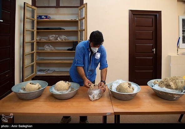 کشف اسکلت انسانی در تخت جمشید