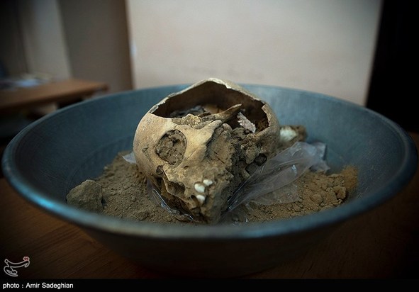 کشف اسکلت انسانی در تخت جمشید