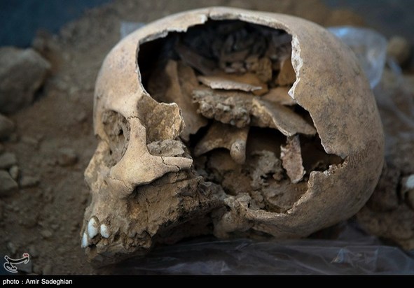 کشف اسکلت انسانی در تخت جمشید