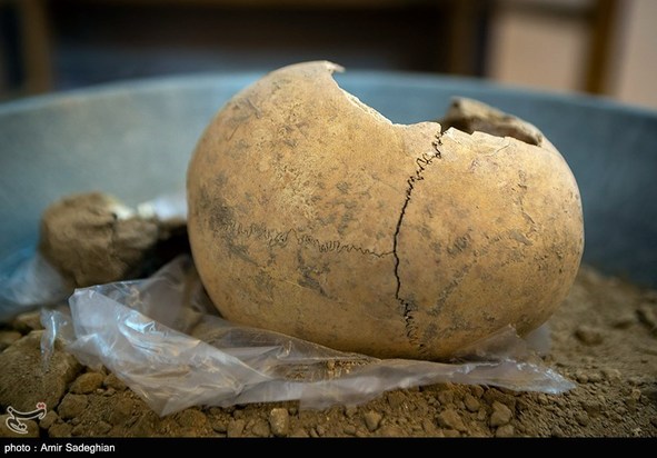 کشف اسکلت انسانی در تخت جمشید