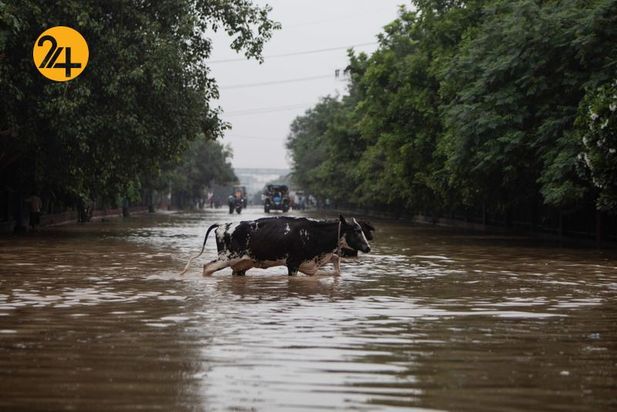 بارش سیل آسا در هند