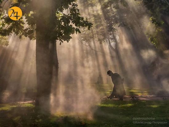 عکاسی حرفه ای