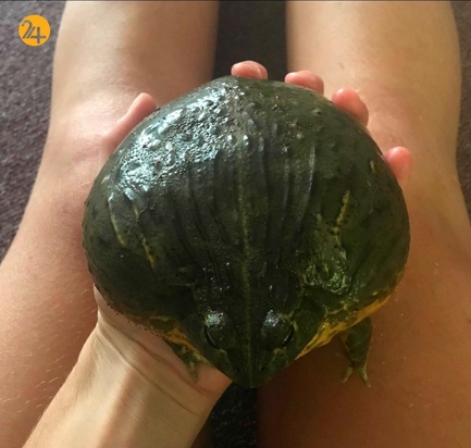 جالب ترین تصاویر