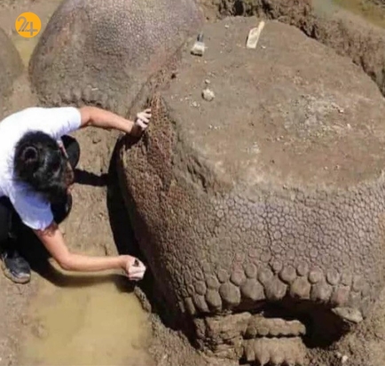 جالب ترین تصاویر