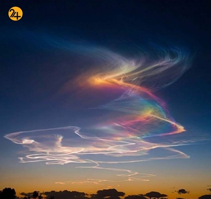 جالب ترین تصاویر