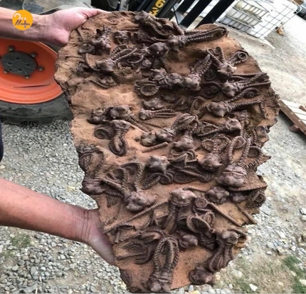 جالب ترین تصاویر