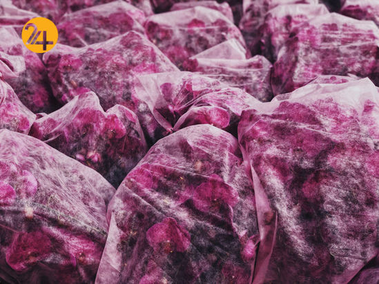 مسابقه عکاسی