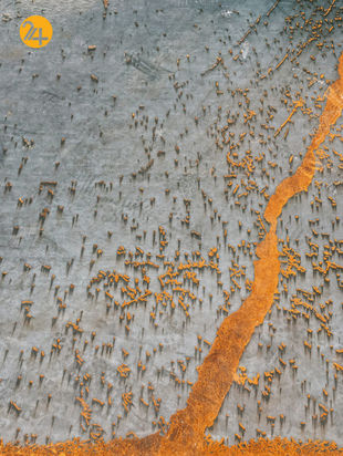 مسابقه عکاسی