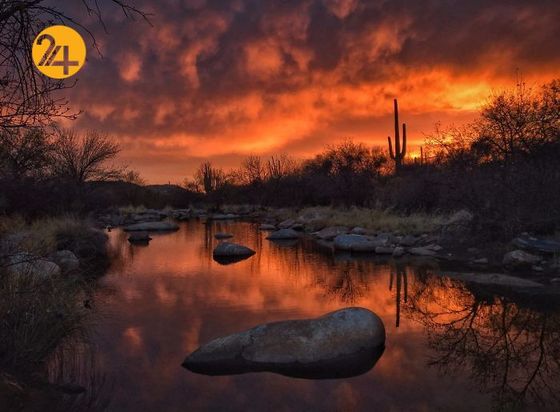 مسابقه عکاسی