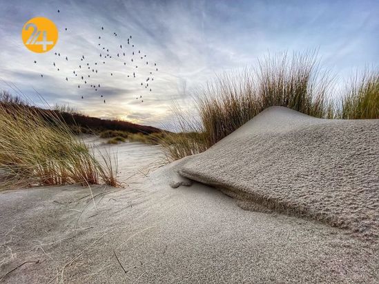 مسابقه عکاسی