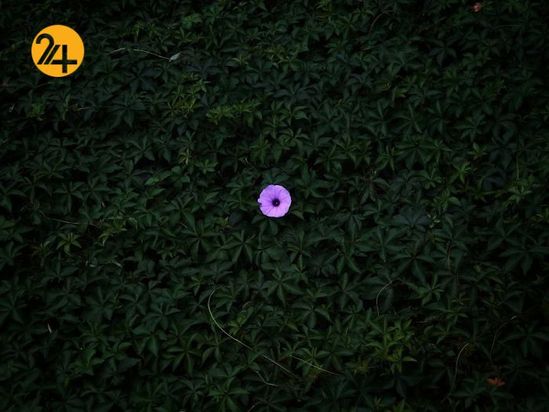 مسابقه عکاسی