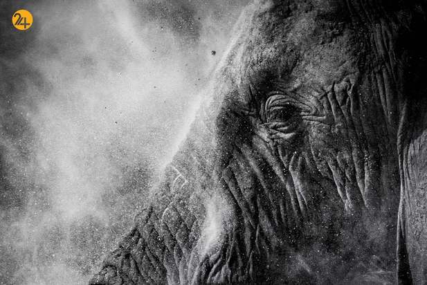 جشنواره عکاسی