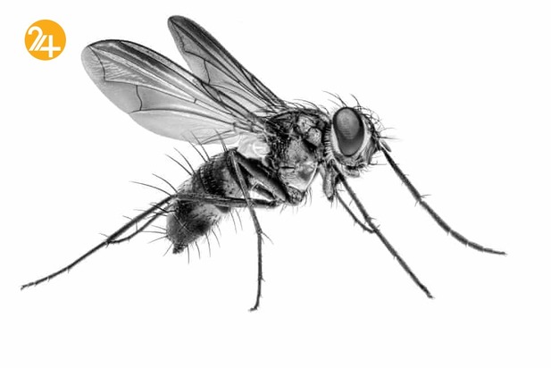 جشنواره عکاسی