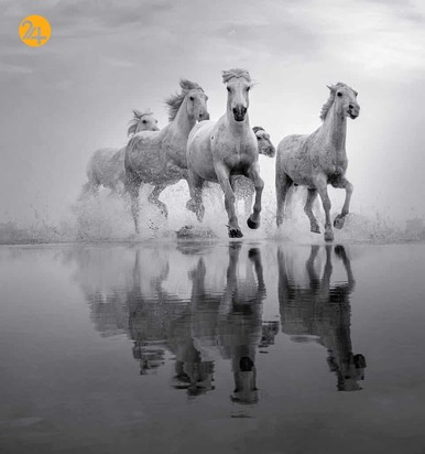 جشنواره عکاسی