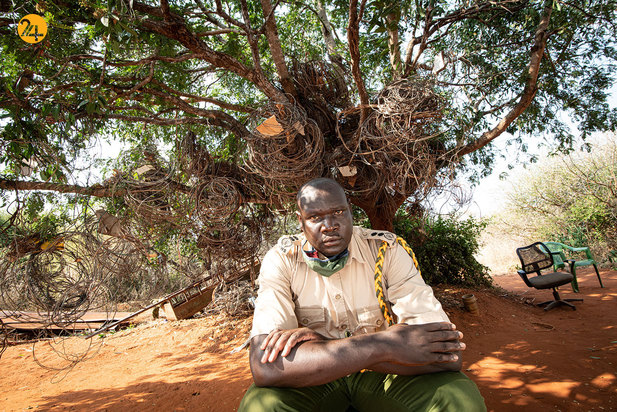 شکار حیوانات در معرض نابودی