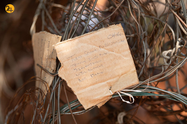 شکار حیوانات در معرض نابودی