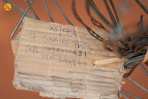 شکار حیوانات در معرض نابودی