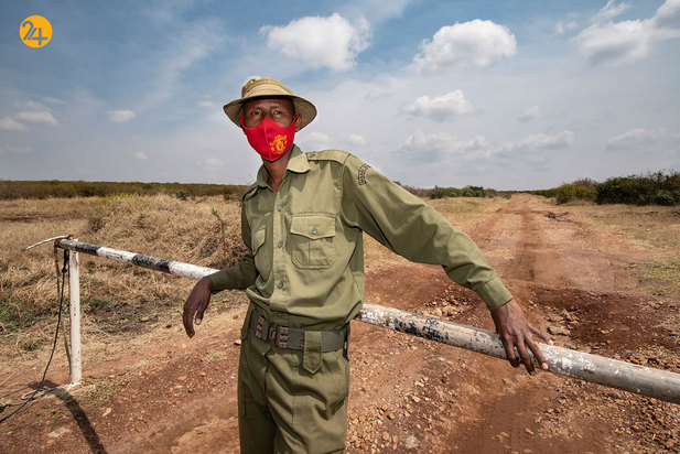 شکار حیوانات در معرض نابودی