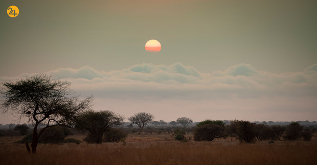 شکار حیوانات در معرض نابودی
