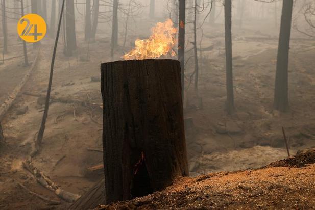 آتش در کالیفرنیا