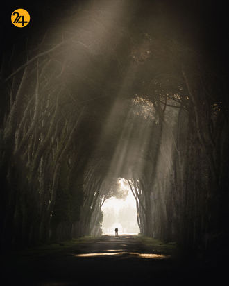 مسابقه عکاسی آگورا