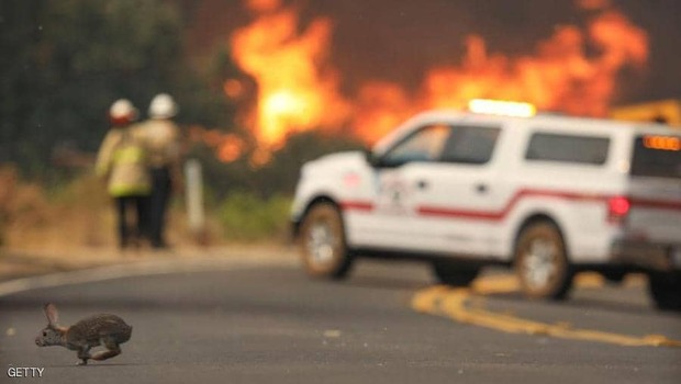 آتش سوزی کالیفرنیا