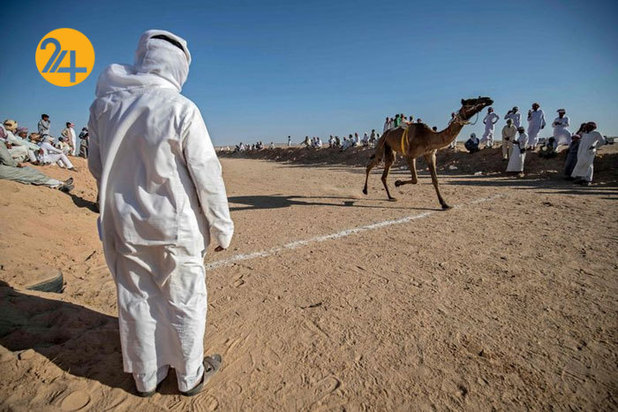 ورزش شترسواری