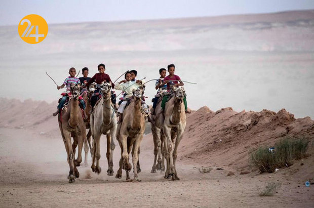 ورزش شترسواری