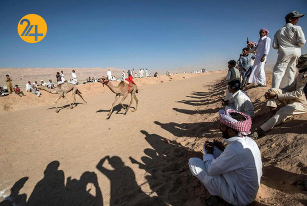 ورزش شترسواری