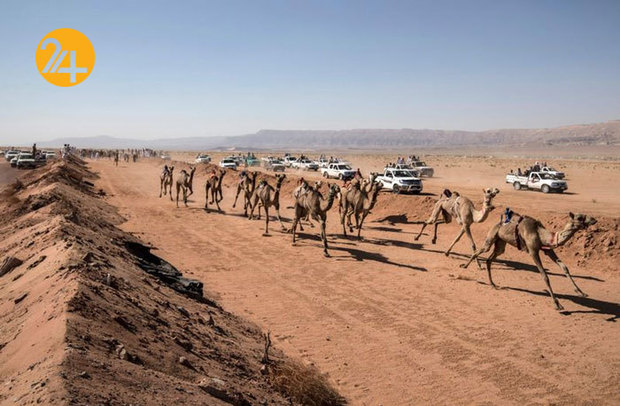 ورزش شترسواری