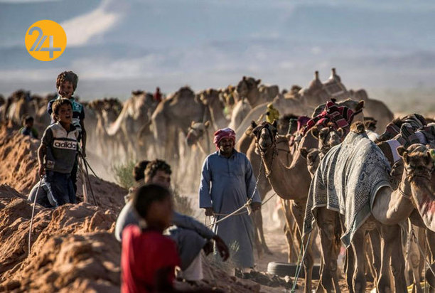 ورزش شترسواری