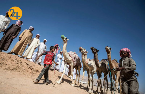 ورزش شترسواری