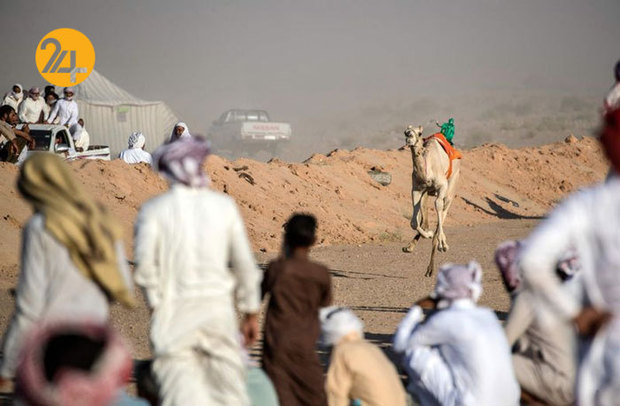 ورزش شترسواری