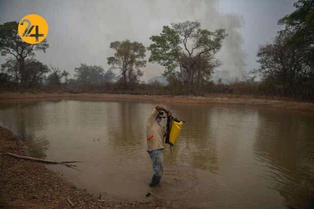 نجات حیوانات برزیلی