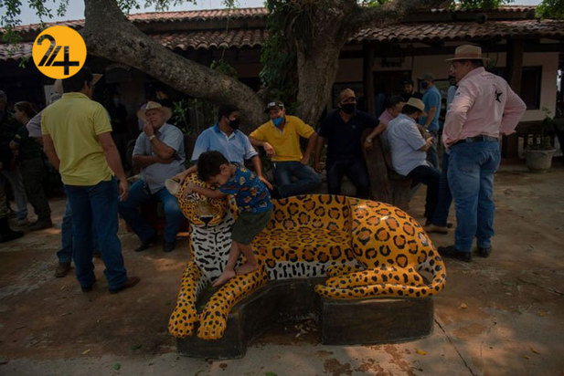 نجات حیوانات برزیلی