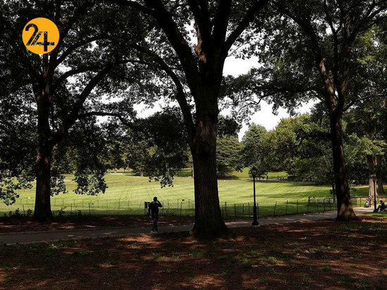 کرونا در نیویورک