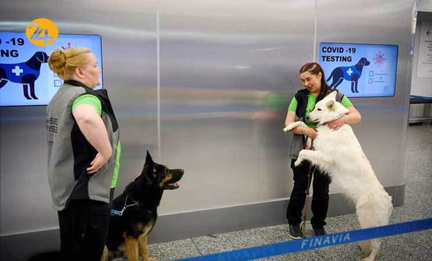 تشخیص کرونا