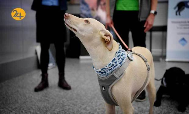 تشخیص کرونا