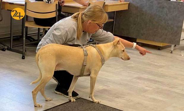 تشخیص کرونا