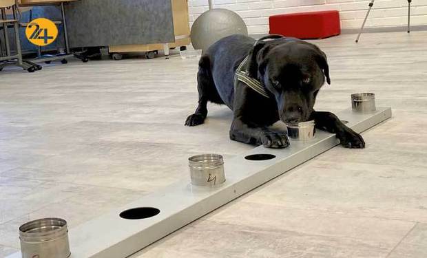 تشخیص کرونا