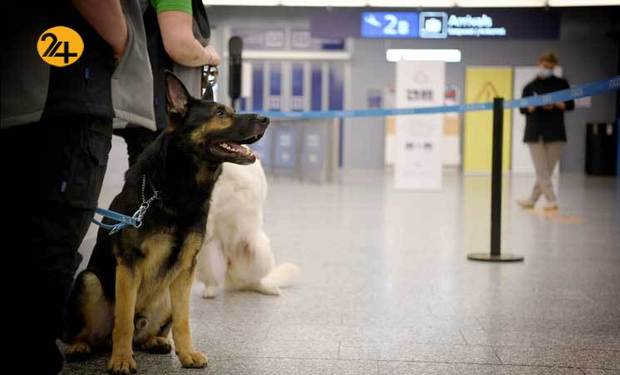 تشخیص کرونا