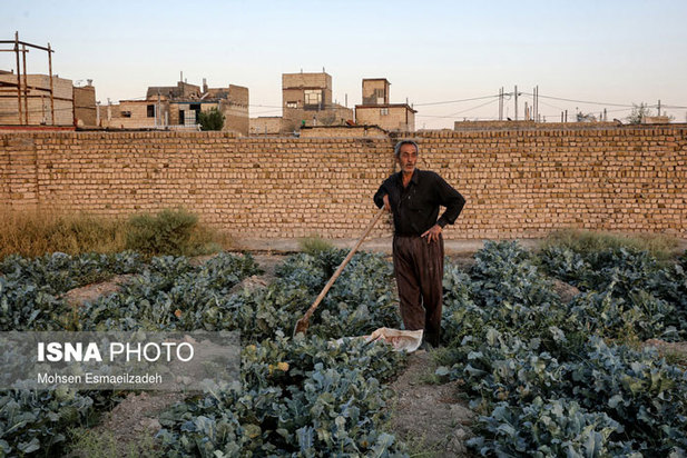 در حاشیه همت آباد