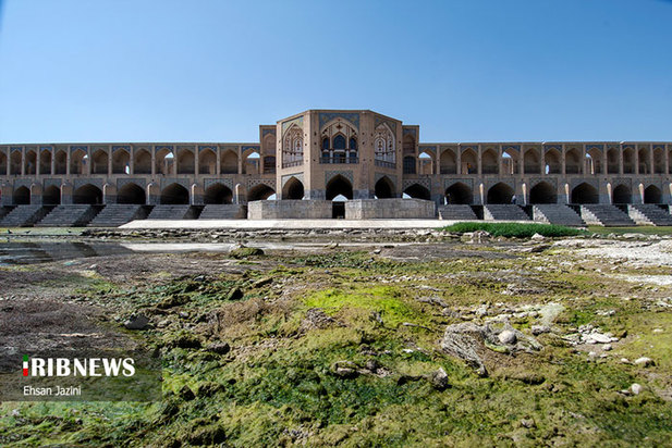 مرگ ماهی‌ها در زاینده‌رود