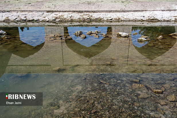 مرگ ماهی‌ها در زاینده‌رود