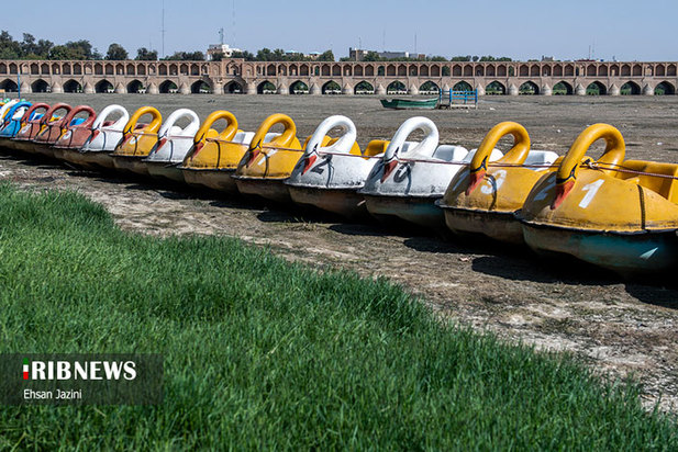 مرگ ماهی‌ها در زاینده‌رود