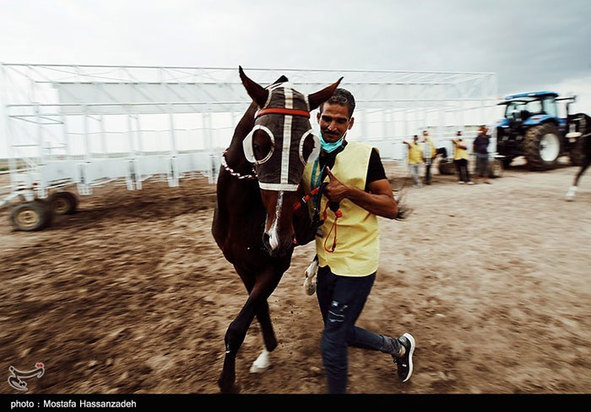 هفته سوم کورس اسبدوانی پائیزه کشور در آق‌قلا 