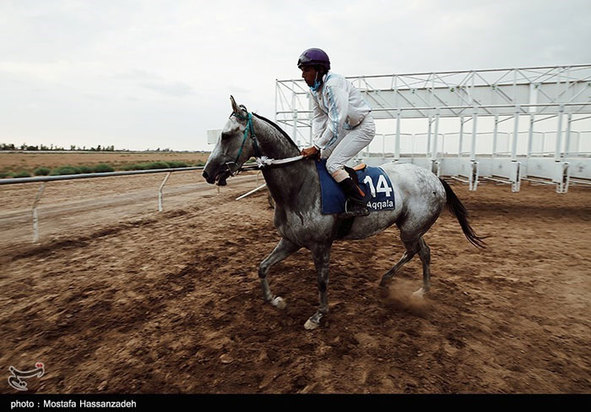 هفته سوم کورس اسبدوانی پائیزه کشور در آق‌قلا 