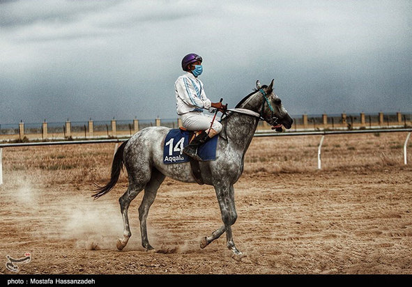 هفته سوم کورس اسبدوانی پائیزه کشور در آق‌قلا 