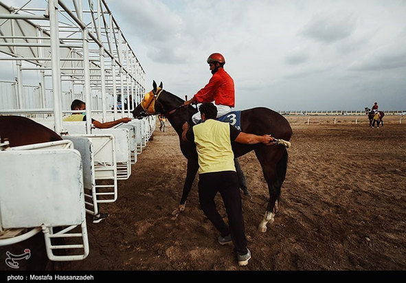 هفته سوم کورس اسبدوانی پائیزه کشور در آق‌قلا 