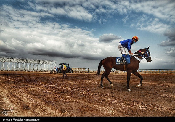 هفته سوم کورس اسبدوانی پائیزه کشور در آق‌قلا 